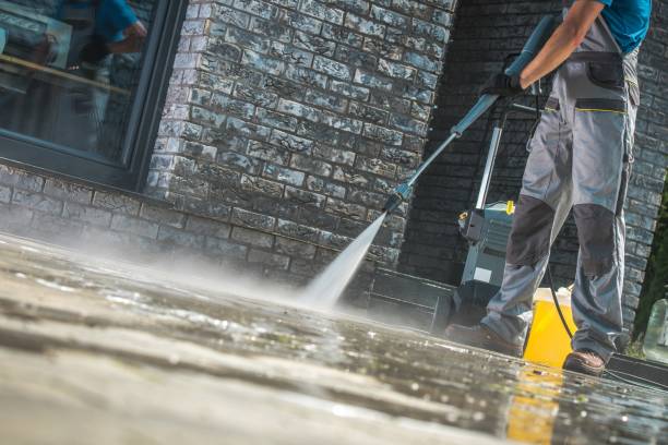 Best Soft Washing  in Riverdale, CA